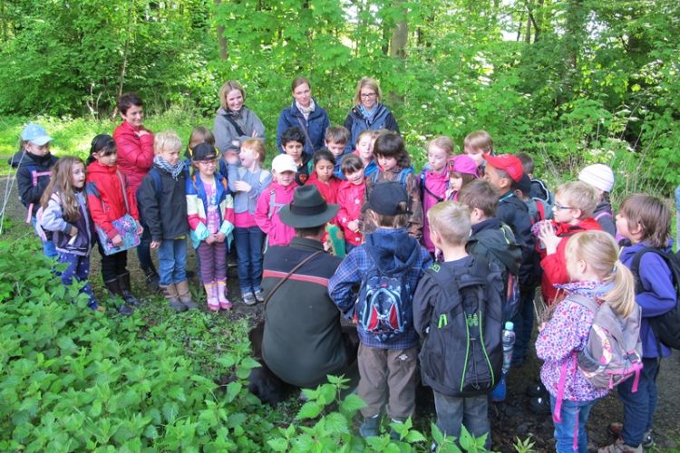 Schulwandern im Wald