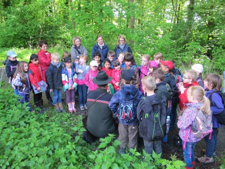 Schulwandern im Wald